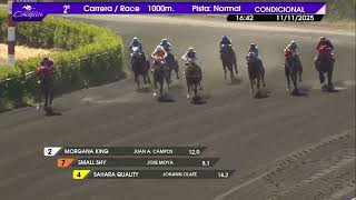 Vidéo de la course PMU PREMIO VUELTA Y MEDIA