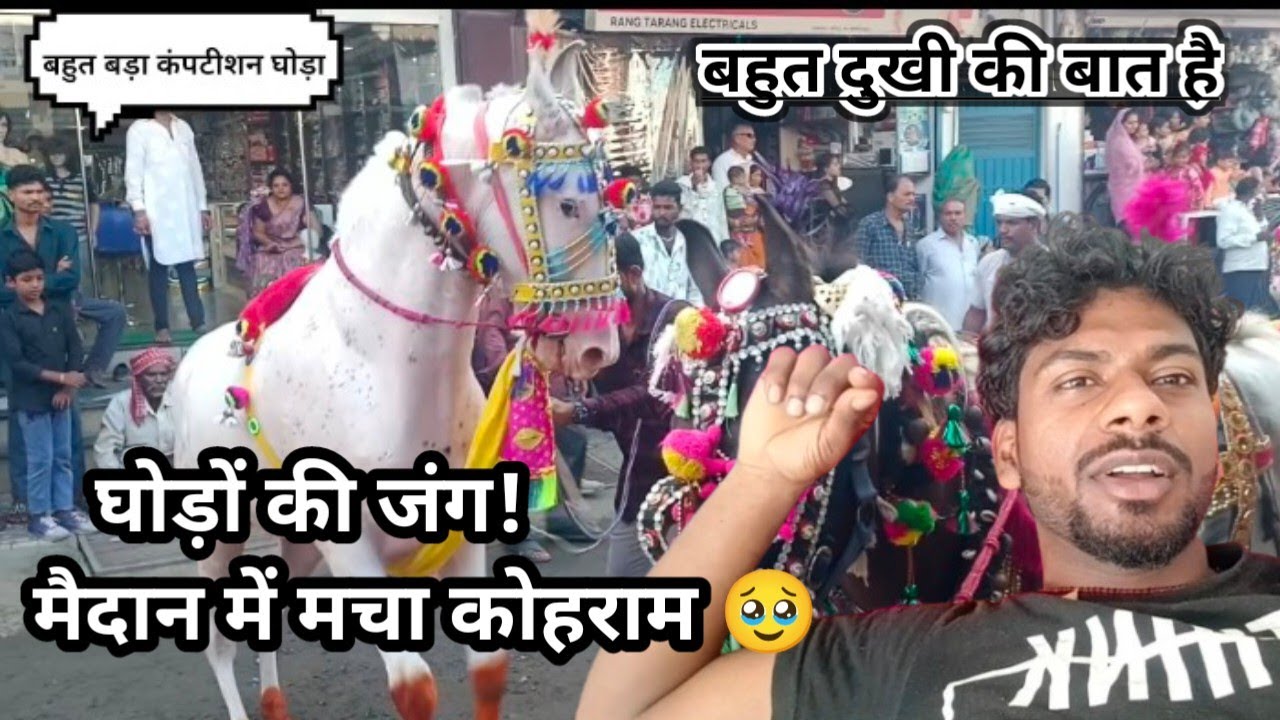 सबसे तेज घोड़े की टक्कर | Final Race Competition | घोड़ा रेस 2025 | Speed का असली खेल | #video