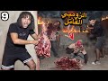 حطينا لحمه عليها سم للزومي القاتل علشان يموت و نخلص علي الدكتور حصل مصيبه mp3