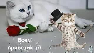 Хорошего  дня !!! Прекрасного  настроения !!! Лучший  день - сегодня !!!