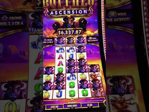 😎💰 GAN[E EN EL CASINO ONLINE ARGENTINA 🇦🇷 ¡Casino que te permite ganar!