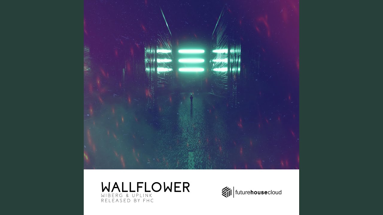 Obejrzyj Wallflower w YouTube Obejrzyj Wallflower w YouTube