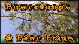 FPV Freestyle - Powerloop Practice and the Pesky Pine Tree
