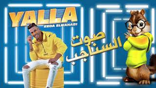 Reda El Wahabi -YALLA (بصوت السناجب) | رضا الوهابي - يالا