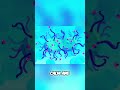 Your Immune System's Secret War: How Germs Fight Back! #shorts