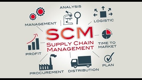 decision making in supply chain