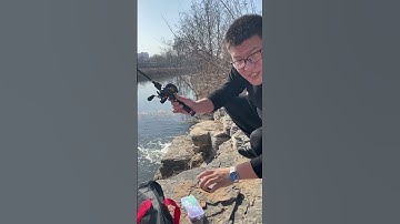 Bộ cần câu LURE cá lóc rút gọn 33cm dài 1,8 mét, máy câu 10kg  😍 | Fishcamp Việt Nam #4 #fishing