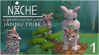 The Spotty Sons of the Jannu Tribe • Niche: Jannu Tribe  Episode #1