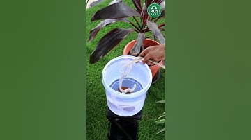 Hack to keep your plants watered on your vacation