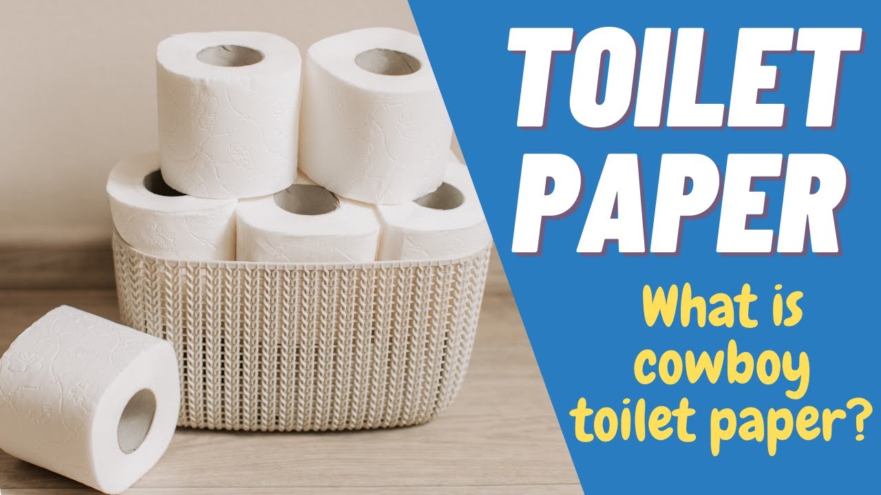 essay about toilet paper