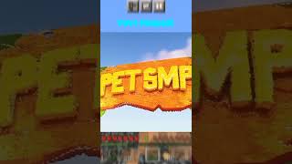 The Pet Smp?