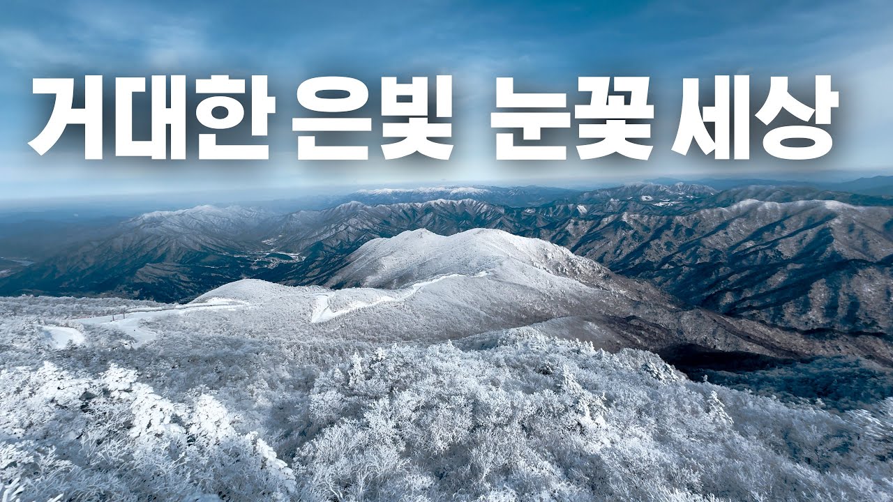 거대한 은빛 눈꽃 세상｜태기산·선자령·덕유산·대둔산·지리산 겨울 죽기전에 꼭 가봐야할 대한민국 눈꽃 명소 BEST 5 