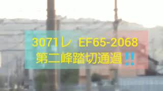 【連続‼️】3071レ EF65-2068牽引 新鶴見発西浜松行き 第二峰踏切通過‼️(JRLocomotive seriesEF65-2068‼️)
