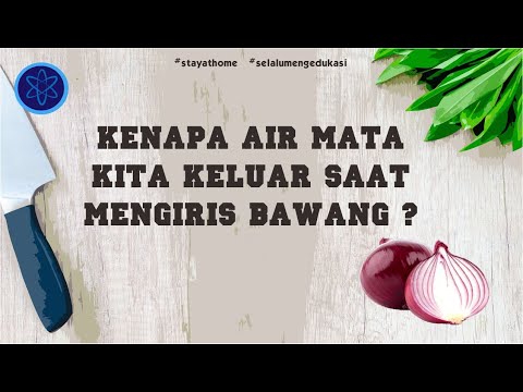 Video: Kenapa Bawang Membuat Air Mata Anda