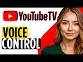 Does Youtube Tv Have Voice Control