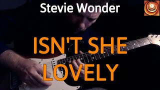 Stevie Wonder - Isn't She Lovely (Guitar Cover by Luca Pilia) Luca Pilia