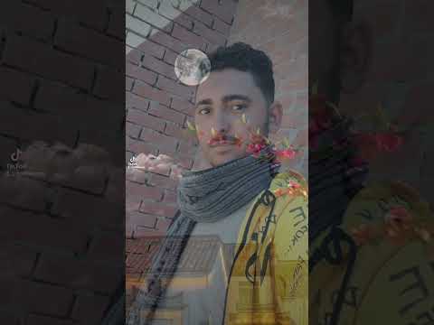 اغنية بلاش عن الحب نتكلم