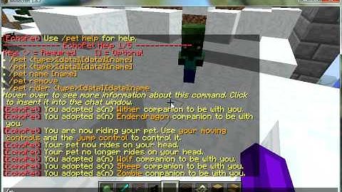 Minecraft Plugin Reviews - Echopet!