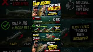 Why Snap Jigging Catches More Walleye