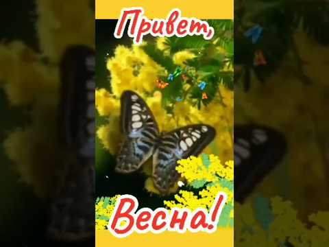 Привет, Весна! ☘️ #весна