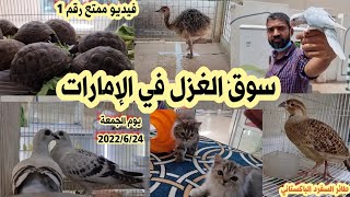 سوق الغزل لبيع الحيوانات في الإمارات يوم الجمعة 2022/6/24