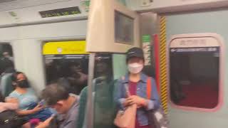 【珍惜東鐵頭等+MLR】東鐵線 MLR-Train E96/E77 頭等車卡 大圍至九龍塘站行車片段