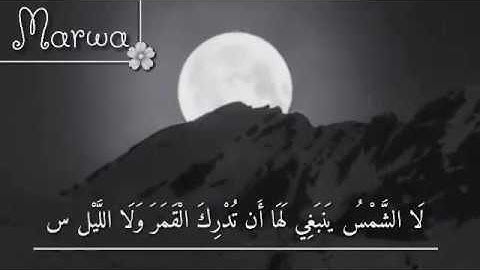 والقمر قدرناه منازل~ حالات واتس اب ||"سورة يس بصوت ماهر المعيقلي"مقاطع انستقرام دينيه قصيرة💛🌾#