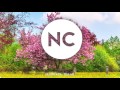 Killercats- tell me