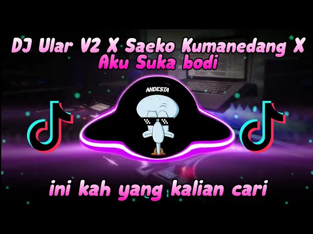 DJ Ular V2 X Saeko Kumanedang X Aku Suka bodi Viral Tiktok 2022🎶🎶 class=