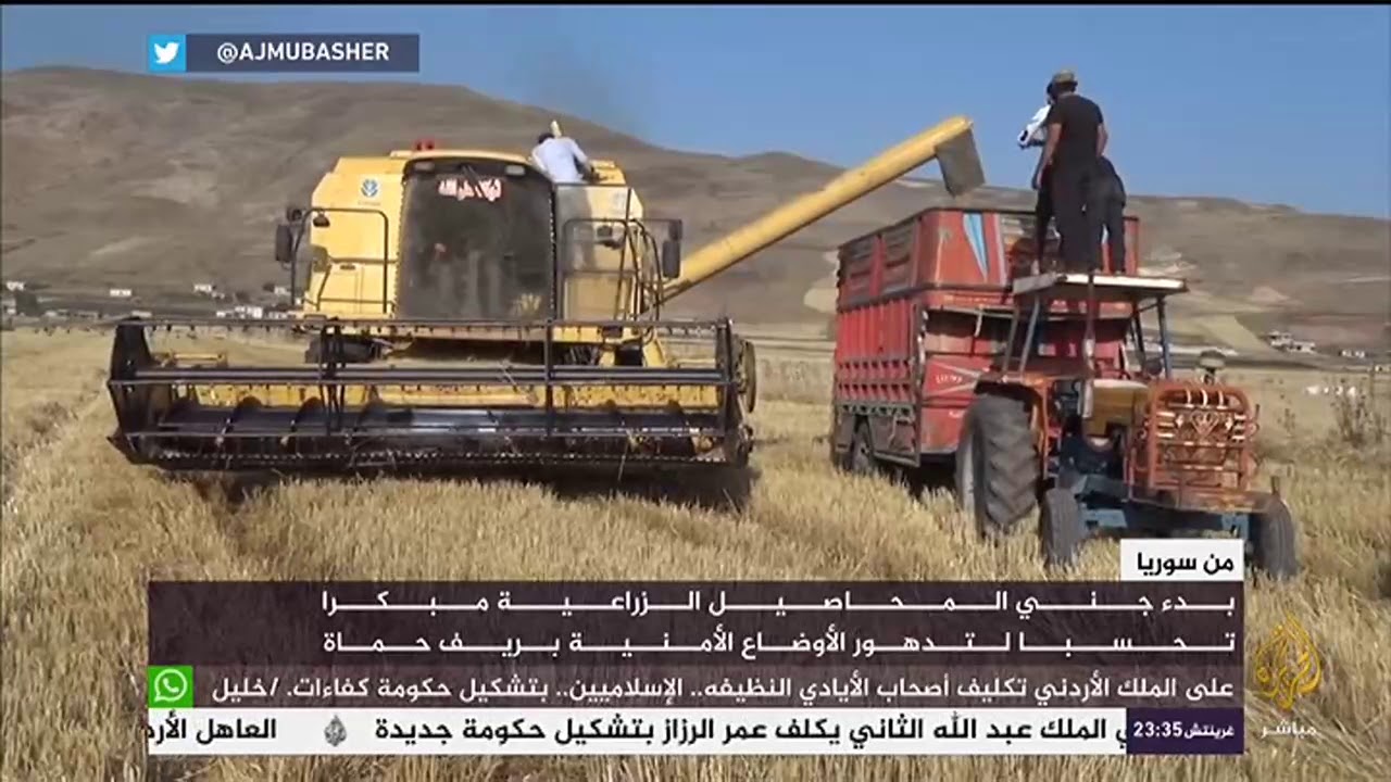 بدء جني المحاصيل الزراعية مبكرا تحسبا لتدهور الأوضاع الأمنية بريف حماة