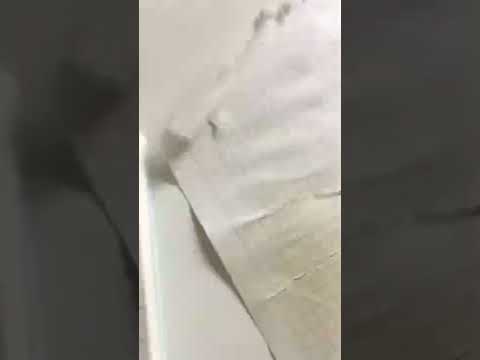 لو في الدنمارك و بنت عجبتك