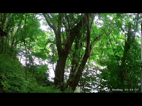 岩手県盛岡市館向町ライブカメラ Iwate Morioka Live camera.world.cam