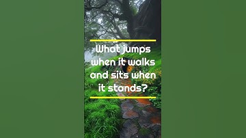 Are You Ready to Test Your Wits? Riddles That