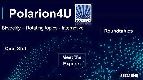 Polarion4U Tips & Tricks: How to use form extension in Work Items and Document Properties Side Bar