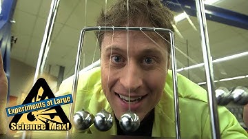 Science Max | Mini Max | Giant Newton