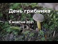 Гриби в Щецині. Пуща Букова. Жовтень 2021.