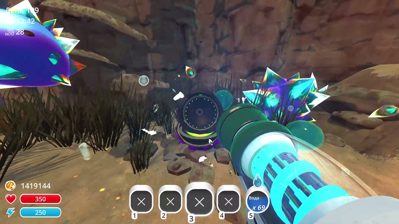 Тора вест слайм ранчер