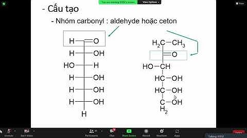 Khả năng dị hóa carbohydrate của vi sinh vật năm 2024