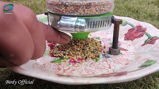 Making Bird Feeder DIY by Birdy Official 507 views 4 months ago 3 minutes, 1 second