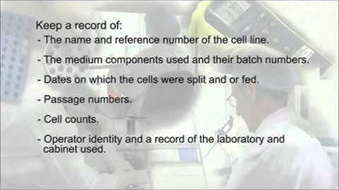 5.  Cell growth to confluence