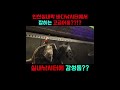 바다낚시터에 감성돔이 등장했다!! #인천실내락바다낚시터 #실내낚시터 #fishing #fish #감성돔
