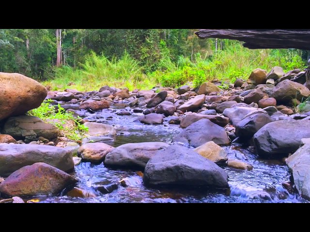 Relax - Brook Running Water