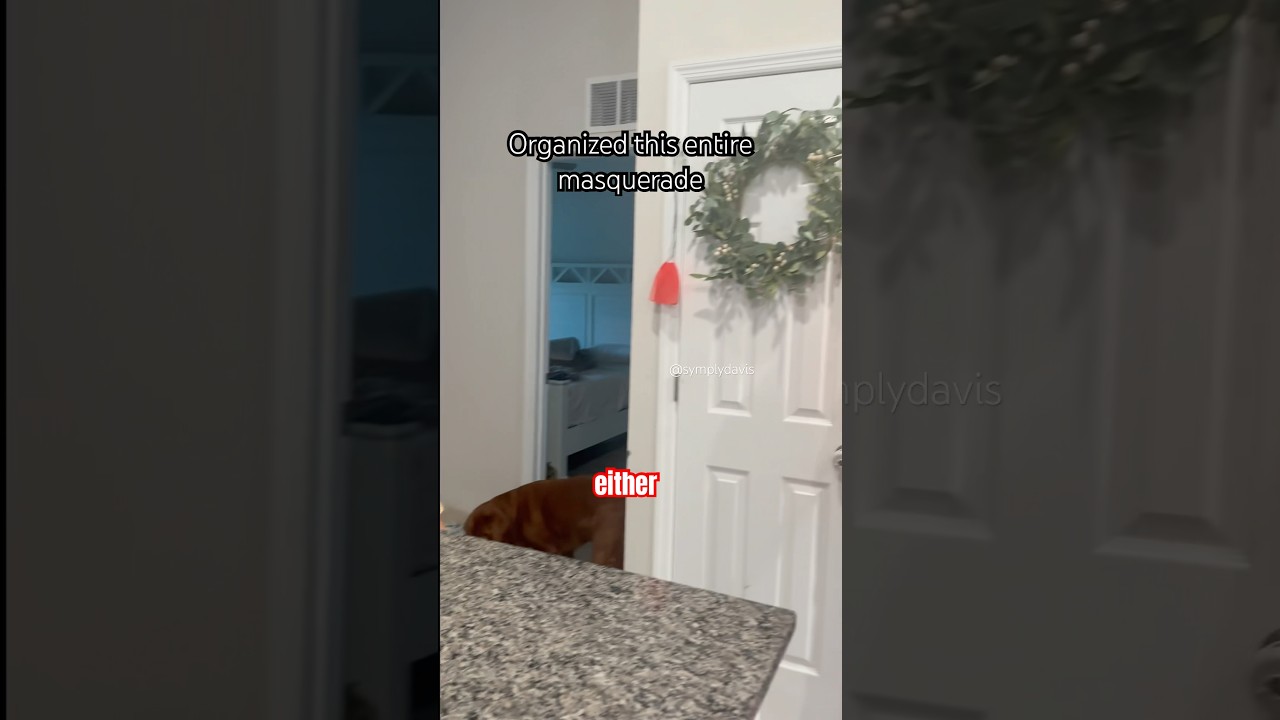 Even our oldest kids didn’t want to participate 😂 lawwwd help me. #husband #funny #couple #pov