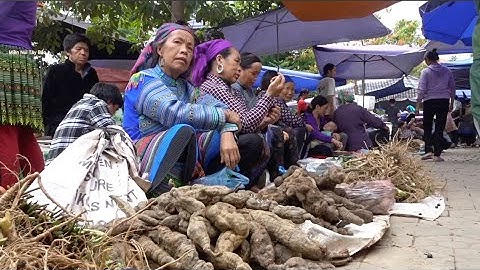 Chợ Phiên Tây Bắc Bán Toàn Toàn Đặc Sản Núi Rừng | Miền núi tây bắc