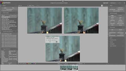 Workflow Walkthrough #11 - Darktable - One Image, Three Import Options!