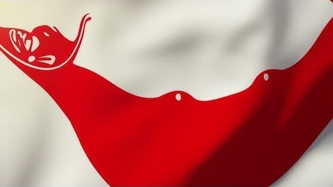 4K Easter Island flag waving in the wind. Looping sun rises style. Animation loop Stock video