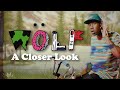 Tyler the Creator's WOLF: A Closer Look