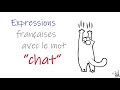 Expressions  avec &quot;CHAT&quot; - Expresiones en francés con la palabra &quot;CHAT&quot;