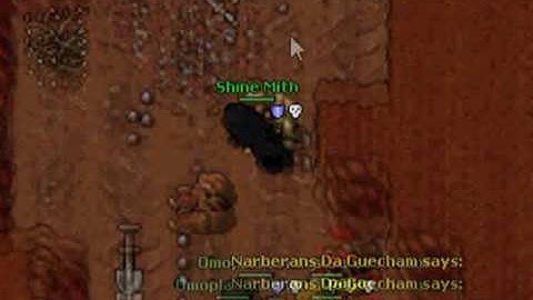 Bot afk owned - Tibia
