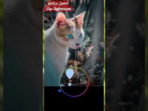 تحميل برنامج  مهكر ميديا فاير الأن على قناتنا